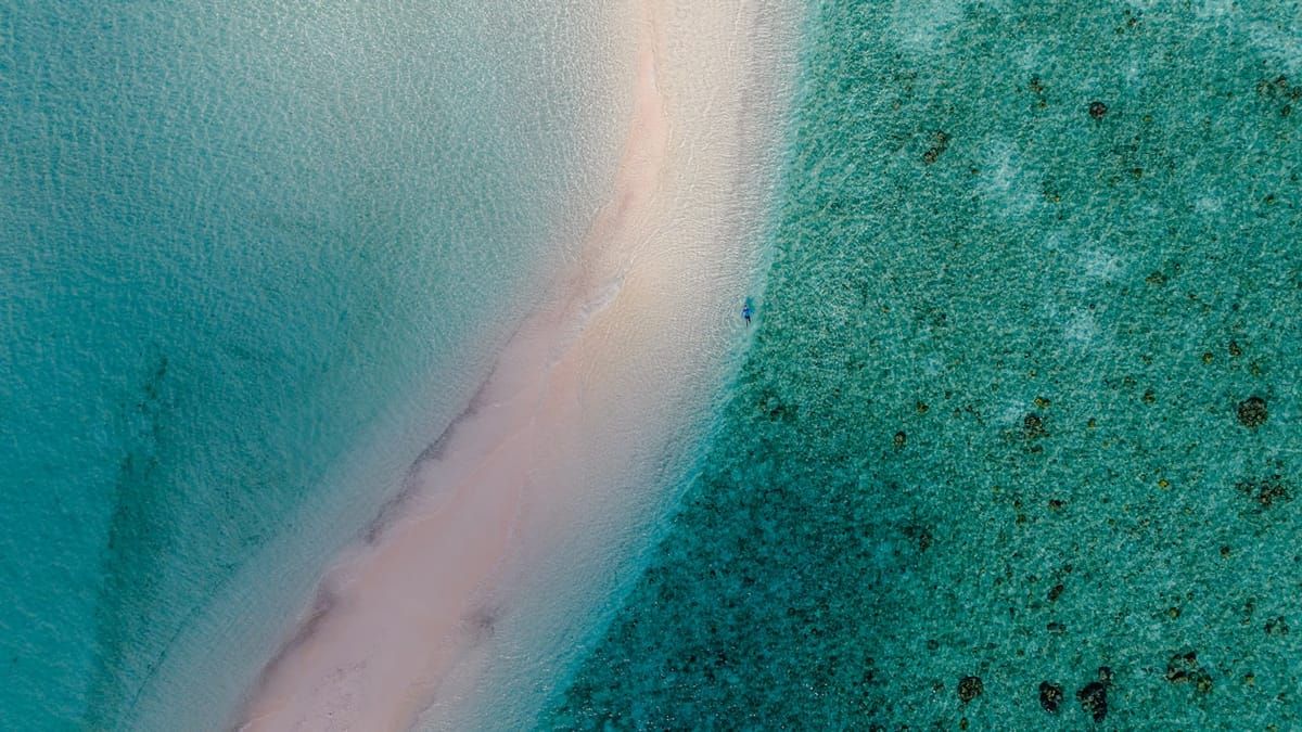 Sandbank Picnic